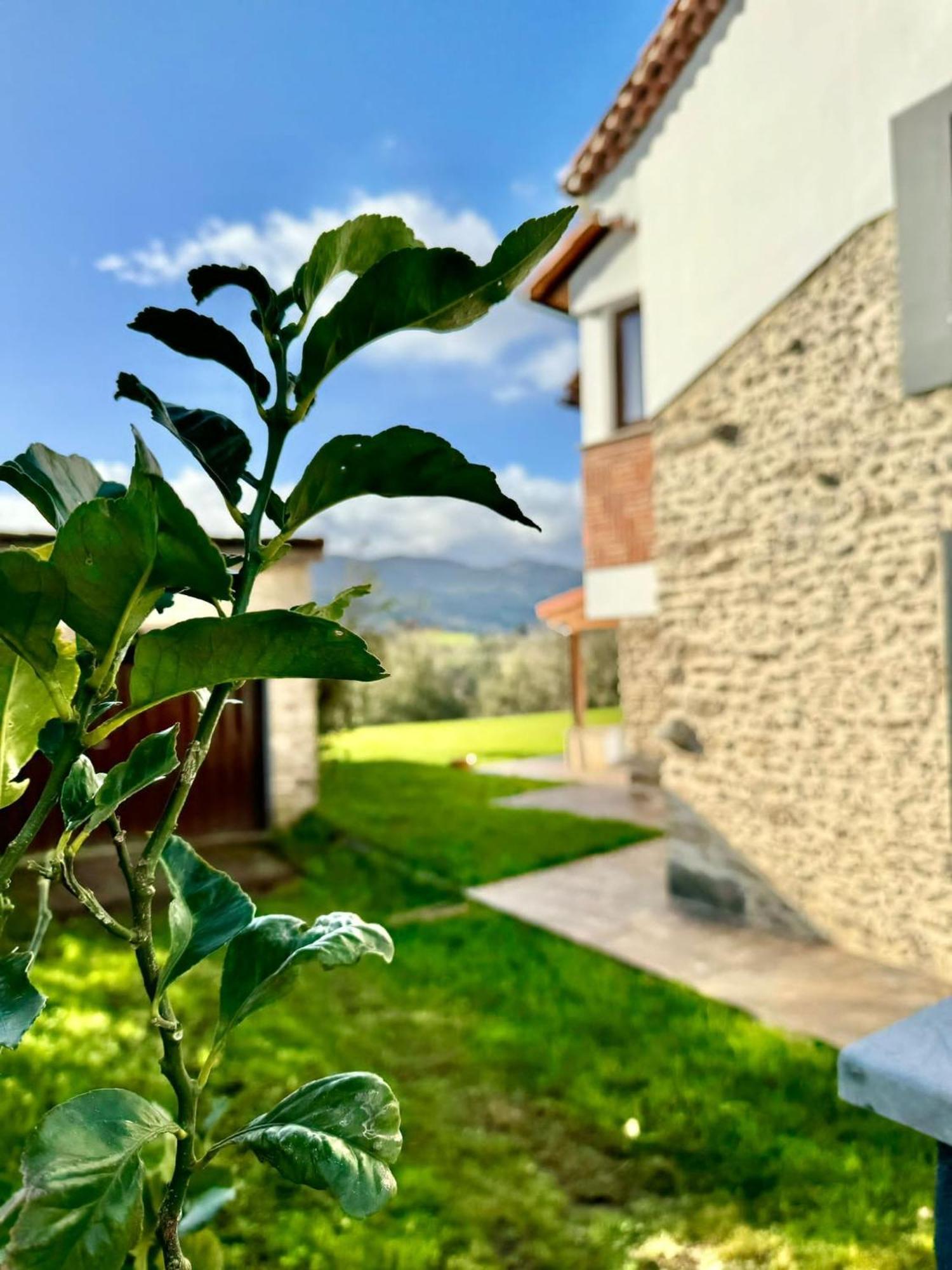 Terradeva Apartamentos Colombres Eksteriør bilde
